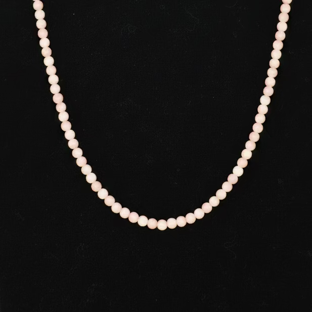 Pink Conch Classic